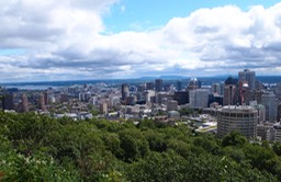 P8143879.jpg