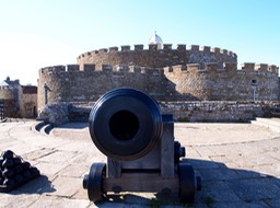 P8145734.jpg
