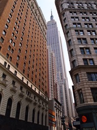 P8164045.jpg