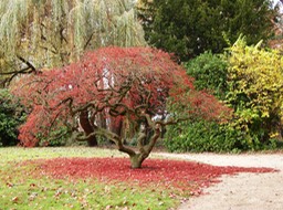 PB065921.jpg