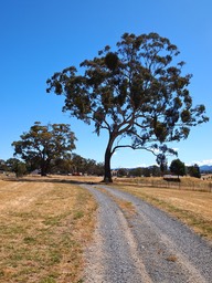 PC285109.jpg