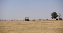 PICT0018
