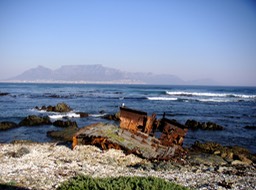 PICT0028